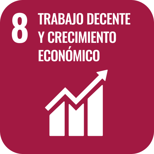SDG 8 icon