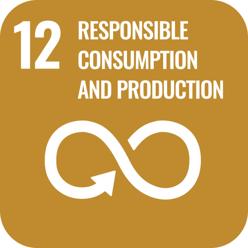 SDG 12 icon