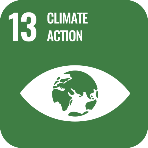 SDG 13 icon