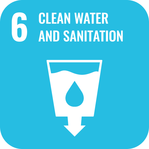 SDG 6 icon