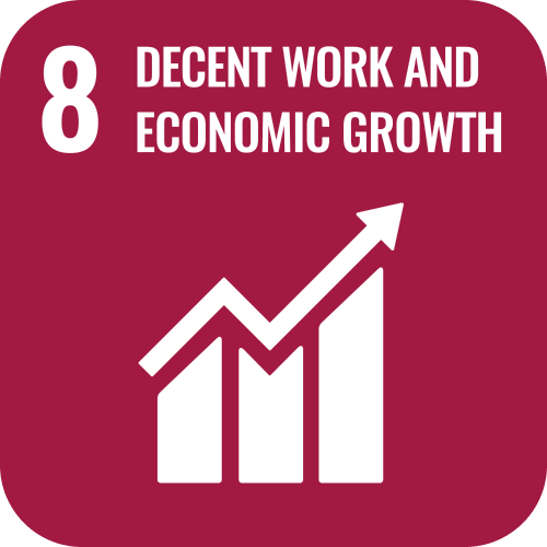 SDG 8 icon