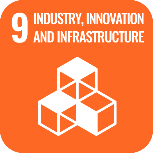 SDG 9 icon