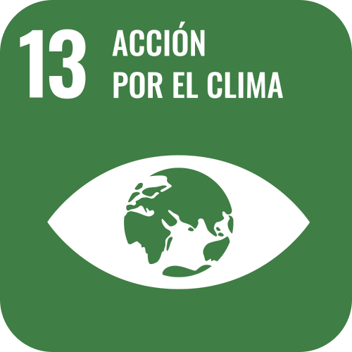 SDG 13 icon