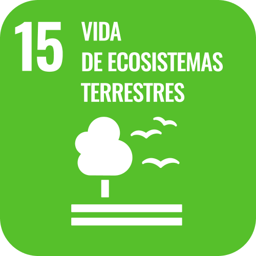 SDG 15 icon