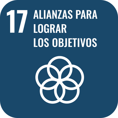 SDG 17 icon