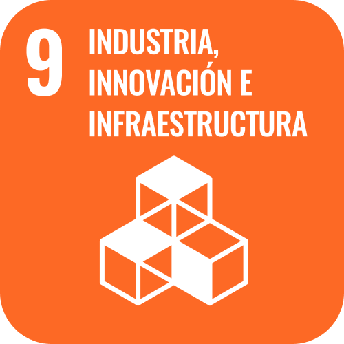 SDG 9 icon