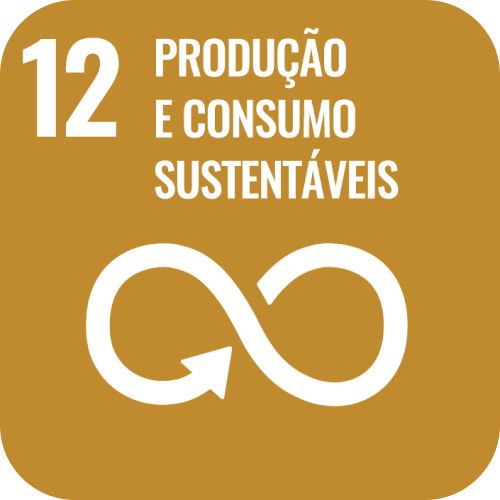 SDG 12 icon