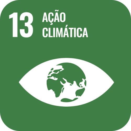 SDG 13 icon