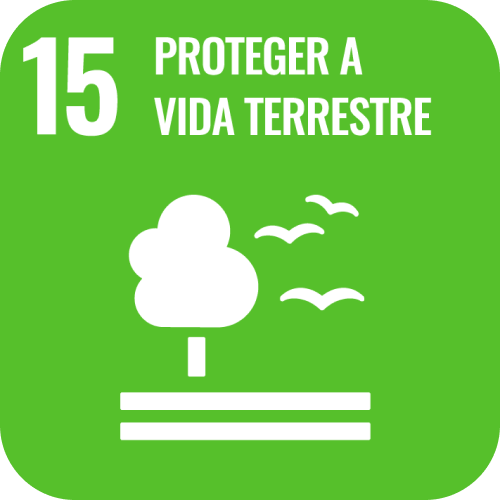 SDG 15 icon