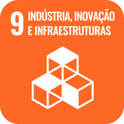 SDG 9 icon